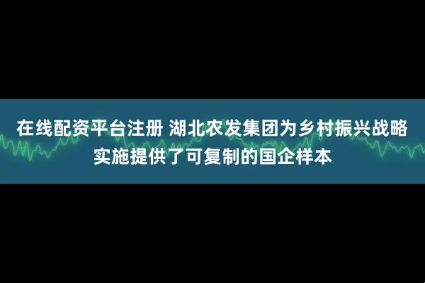 在线配资平台注册 湖北农发集团为乡村振兴战略实施提供了可复制的国企样本